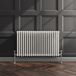 EliteHeat Horizontal Designer 2 Column White Radiator - 600mm Tall